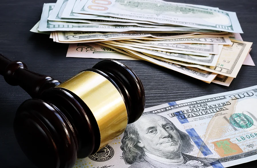 Financial Litigation Software